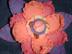 Dsc01593_72x54_c
